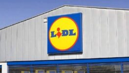 Lidl frappe fort avec le caddie parfait pour transporter ses courses sans effort même dans les escaliers !