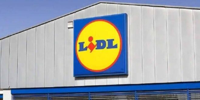 Lidl frappe fort avec le caddie parfait pour transporter ses courses sans effort même dans les escaliers !