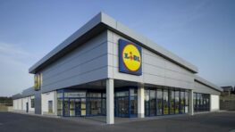 Lidl frappe fort avec sa friteuse à air XL capable de faire les meilleures frites du monde !