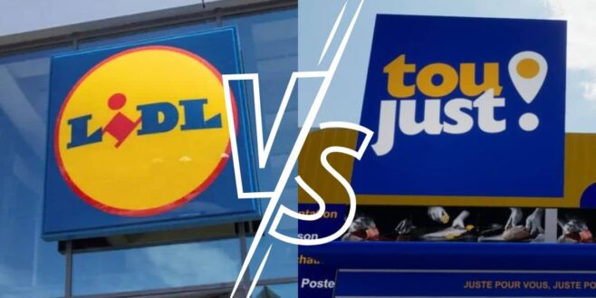 Lidl très inquiet avec l'arrivée du nouveau concurrent Toutjust, c'est la panique !