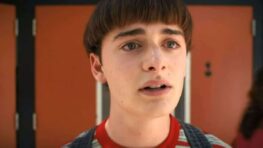 Stranger Things saison 5 L'histoire a commencé avec Will et se terminera avec Will