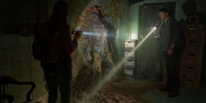 The Last of Us le champignon cordyceps ne pourrait pas causer une aussi grande épidémie de zombies et clickers dans la vraie vie !