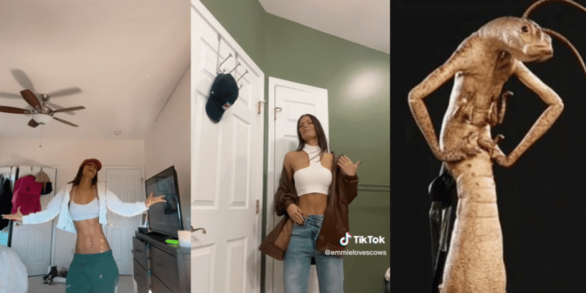 Elle devient une star de TikTok grâce à son torse XXL comparé à celui d'un extraterrestre de Men in Black !