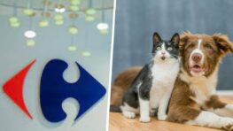 Carrefour cartonne avec cet indispensable pour bien prendre soin de votre chien ou chat à moins de 10 euros !