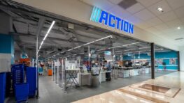 Cohue chez Action pour les meilleurs jouets pour chat à partir de 2 euros !