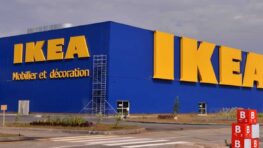 Cohue chez Ikea pour ce super lit pour chien et chat parfait pour les aider à bien dormir !