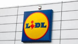 Cohue chez Lidl avec ces produits parfaits pour ne plus jamais perdre vos clés !