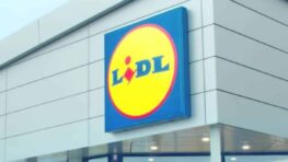 Cohue chez Lidl pour cet aspirateur à main pour tout nettoyer super facilement à moins de 25 euros !