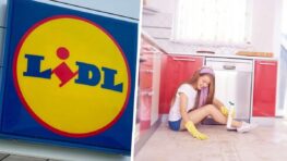 Cohue chez Lidl pour le duo de produits parfait pour faire votre grand ménage de printemps !