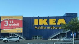 Ikea cartonne avec les meilleurs produits pour chat à tout petit prix !