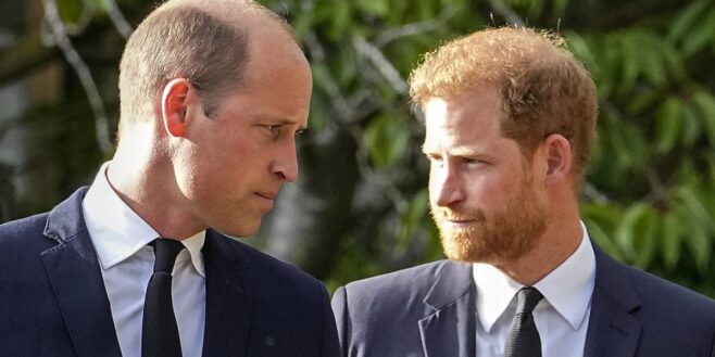 Le prince Harry ce jour ou son frère William à voulu l'assassiner !