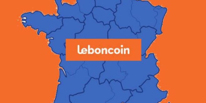 LeBonCoin une ville française vendue 1,7 million d'euros et la raison est complètement dingue !