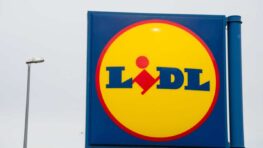 Lidl a l'accessoire indispensable pour ne plus jamais perdre ses clés à moins de 12 euros !