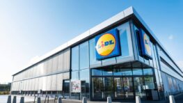 Lidl cartonne avec cet accessoire indispensable pour tous les bricoleurs à moins de 20 euros !