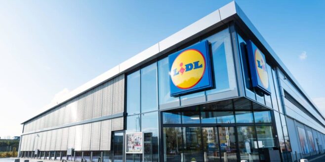 Lidl cartonne avec cet accessoire indispensable pour tous les bricoleurs à moins de 20 euros !