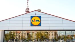 Lidl cartonne avec cette superbe robe à motifs à moins de 10 euros !