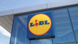 Lidl cartonne avec des déguisements super héros et Disney pour enfants à moins de 12 euros !