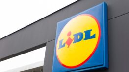 Lidl cartonne avec sa gamme de produits et accessoires gaming à partir de 11 euros !