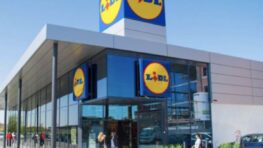 Lidl cartonne avec ses 3 indispensables pour se coiffer comme une pro facilement !