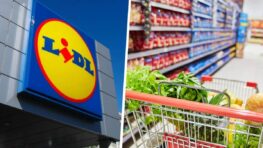 Lidl cette cliente se fait refuser son caddie en caisse pour une raison hallucinante !
