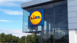 Lidl fait un carton avec ses sublimes guirlandes pour donner vie à votre jardin au printemps !