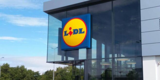 Lidl fait un carton avec ses sublimes guirlandes pour donner vie à votre jardin au printemps !