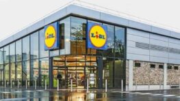 Lidl frappe fort avec sa nouvelle lampe avec éclairage LED et verre satiné à moins de 15 euros !