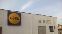 Lidl lance sa propre manette pour Nintendo Switch à moins de 20 euros !