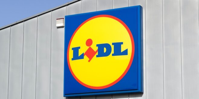 Lidl voici tous les produits que vous trouverez dans son panier anti-inflation et il y en a pour toute la famille !