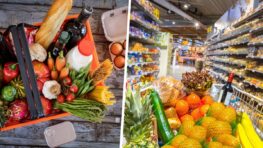 Panier anti-inflation voici enfin la vrai date de lancement de l'aide au pouvoir d'achat !