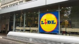 Ruée chez Lidl avec son étagère facile à monter pour ranger toutes vos chaussures !