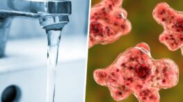 Alerte santé il se nettoie le nez avec de l'eau du robinet et fini par mourir d’une infection mangeuse de cerveau !