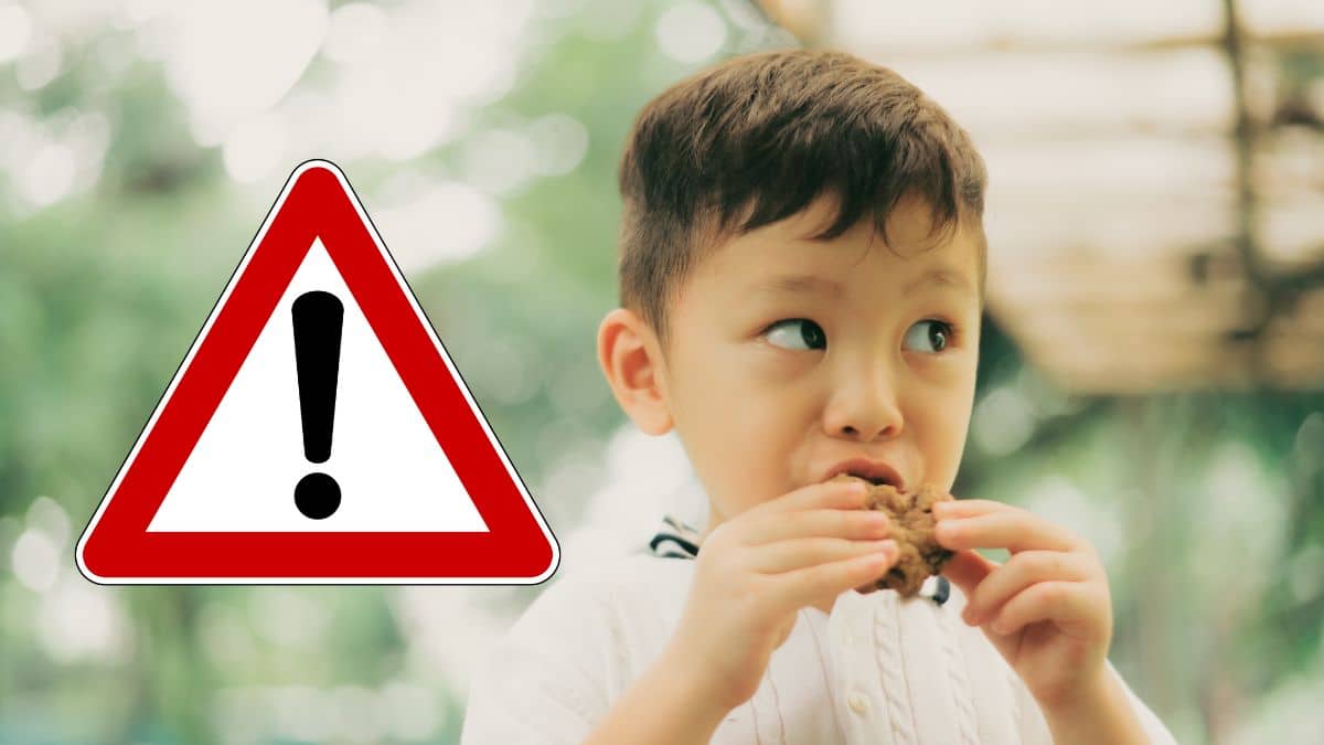 Alerte santé voici les 7 marques de biscuits les plus dangereuses pour la santé selon 60 millions de consommateurs !
