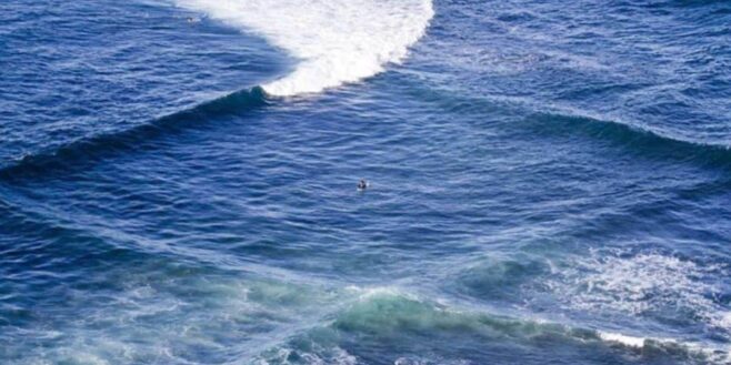Attention si tu vois des vagues carrées à la surface, sors vite de l'eau et préviens les autres du danger !