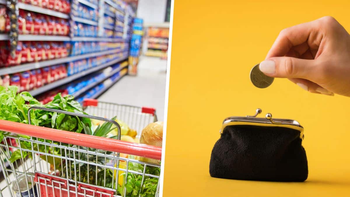 Carrefour, Auchan, Lidl.. voici toutes les solutions anti-inflation des supermarchés !