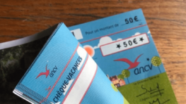 Chèques vacances: voici ce qu'il faut faire rapidement pour ne pas perdre cette grosse somme !