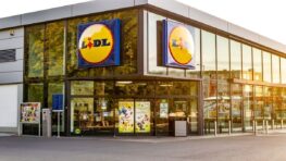 Cohue chez Lidl avec cet indispensable pour bien préparer son jardin au printemps !