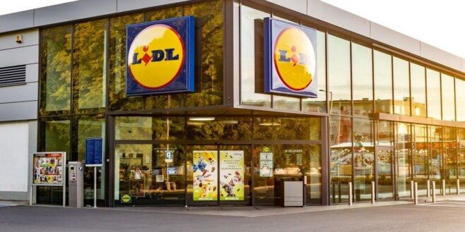 Cohue chez Lidl avec cet indispensable pour bien préparer son jardin au printemps !