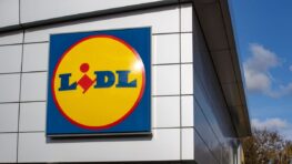 Cohue chez Lidl pour ce super aspirateur 2 en 1 qui va vous donner envie de faire le ménage plus souvent !
