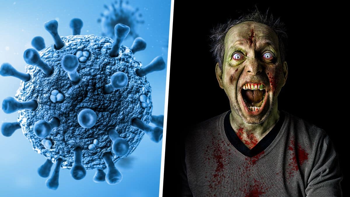 Des scientifiques font revivre un virus zombie vieux de 48 500 ans, c'est terrifiant !