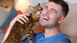 Les propriétaires de chat auraient un QI plus élevé que les autres selon cette étude !