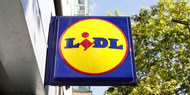 Lidl a le produit idéal à moins de 10 euros pour transporter son repas au travail facilement !