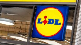 Lidl a trouvé la solution pour accrocher tous vos vêtements facilement et sans perçage !