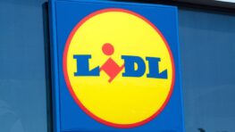 Lidl casse le prix de son pull en maille qui s'adaptera à tous vos looks de printemps !