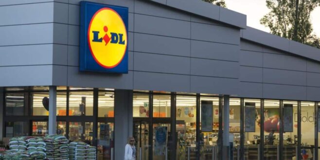 Lidl casse le prix de son vélo pour profiter du printemps et faire du sport en même temps !