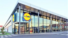 Lidl frappe très fort avec sa nouvelle friteuse à air 9 en 1 pour faire les meilleures frites du monde !