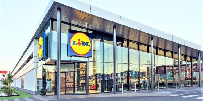 Lidl frappe très fort avec sa nouvelle friteuse à air 9 en 1 pour faire les meilleures frites du monde !