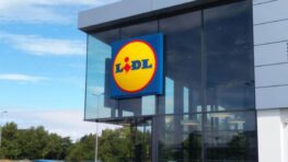 Lidl innove avec les chaussures les plus confortables que vous pouvez porter toute la journée !
