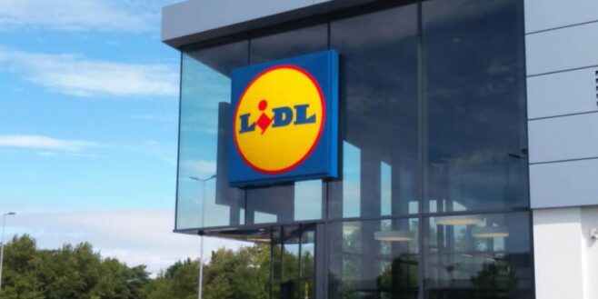 Lidl innove avec les chaussures les plus confortables que vous pouvez porter toute la journée !