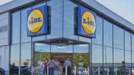 Lidl lance la moustiquaire parfaite et sans perçage à moins de 7 euros !